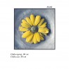 Tranh Hoa Cúc Vàng-Thế giới đồ gia dụng HMD