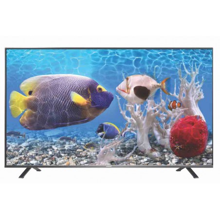 Smart Tivi 4K Asanzo 55 inch AS55K8