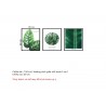 Bộ 3 Tranh Nature Is Green-Thế giới đồ gia dụng HMD