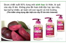 Nước rửa chén Leafresh 500ml-Thế giới đồ gia dụng HMD