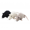 Đồ chơi mô hình Animal World chuột, 3 loại-Thế giới đồ gia dụng