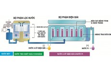 Máy tạo nước Pi Biontech BTM-303D-Thế giới đồ gia dụng HMD