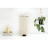 Thùng rác Brabantia NewIcon 114281, 30 lít-