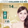 Collagen Cá hồi Nhật Bản Pizkie-Thế giới đồ gia dụng HMD