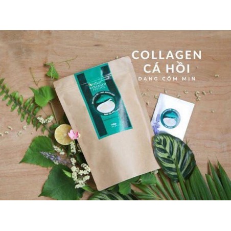 Collagen Cá hồi Nhật Bản Pizkie