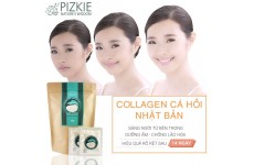 Liệu trình Collagen Cá hồi 2 tháng - Pizkie-Thế giới đồ gia