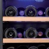 Tủ bảo quản rượu Caso WineComfort, 66 chai