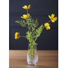 Bình cắm hoa pha lê Waterford Mother Vase 15cm