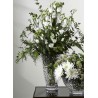 Bình cắm hoa pha lê Waterford Northbrooke Vase 25cm