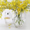 Bình cắm hoa pha lê Rogaska Delightful Vase 25cm