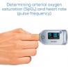 Máy đo nồng độ oxy trong máu SpO2 Beurer PO60